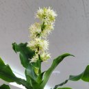 태평양공인중개사무소 이미지