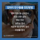 우리동물메디컬센터 이미지