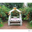 너와제주 이미지