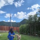 공간 포해락 이미지