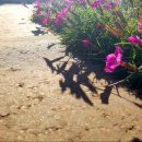 강현면사무소 이미지