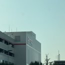 (주)코스트코코리아 | 7월 셋째주 대전 코스트코 내돈내산 후기 및 소분 방법