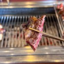 바른 한우 농장 이미지