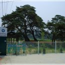 덕과면 용산마을 이미지