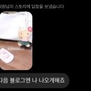 조은피드 이미지