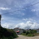 공천포올레게스트하우스 | 내돈내산 제주 남원읍 공천포 오션뷰 숙소, 올레5게스트하우스