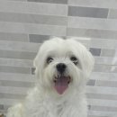 김포24시힐동물의료센터 이미지