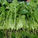 김정순농장 이미지