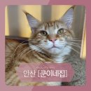 쿤이네집 이미지