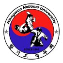 Martial Arts for International Students, Duk-moo-hoi 이미지