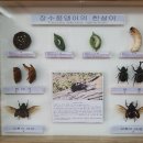 굼벵이브라더스
