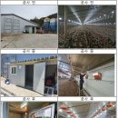 싸리마루 이미지