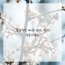 마음편한 집 이미지