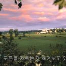 벤자마스 이미지
