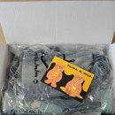 한벌태권도 | [리미떼두두]가을1차, 니트, 언더웨어 [베베베베]가을