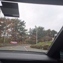 청도자연휴양림 | ⛺️ [캠핑일기] 청도 자연휴양림 A사이트 11번 후기