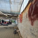 금화농장 | [내돈내산] 파주 아이랑 겨울에 갈만한 곳 추천 : 월롱딸기 체험 (with.47개월 아기)