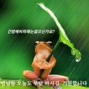 홍수 이미지