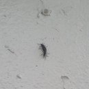 종은목장2 이미지