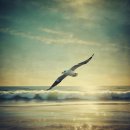 바다너머 이미지