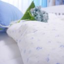 스카이블루마운틴 Daum카페