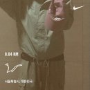 나누리작은도서관 | [REPLAY 10월] 단풍 즐기기, 가을로 물들이기 |📍한강, 남산 | 📖여름의 빌라 | 🍽️텐동토리텐, 파이브...