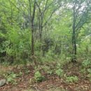 화도면-6 이미지