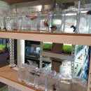 베스트피쉬 수족관 이미지