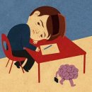 꼬지짱 이미지