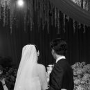 다연축사 이미지