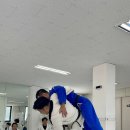 평화로운나날 이미지