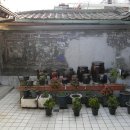 @ 풍부한 볼거리와 미술관을 지닌 서울 도심의 신선한 꿀단지, 서촌 산책 (한옥마을) 이미지
