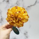 [공지] 50대엄마선물 드림로즈에서 금카네이션, 너무뿌듯하다
