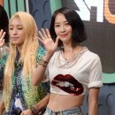 다솜 이미지