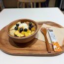 한스동물병원 | [강남 카페] 강남 애견동반카페 그릭요거트 맛집 레이지요거트 내돈내산 후기