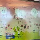 해빛3로 | 제주 스킨스쿠버 해빛다이브 문섬 난파선 포인트에서 잠수함까지 마주친 펀다이빙 후기!