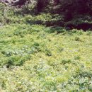 향토목장 이미지