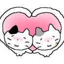 고정미김밥 이미지