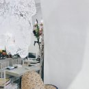 (주)청담라이프