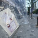 벼리약국 이미지