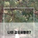 강쌤점핑허브다이어트