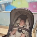 오션옵스 이미지