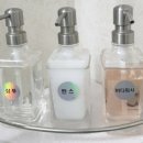 [12월 초 제주 여행] 넷째 날 : 한라산둘레길7구간(사려니숲길), 국군복지단 서귀포호텔식당