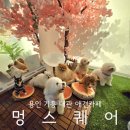 (주)아리피아 | 경기도 용인 애견카페 대관 기흥 강아지운동장 멍스퀘어