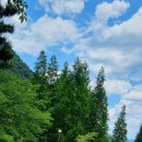 진주 월아산 자연휴양림 | (진주) 월아산 자연휴양림 다녀온 후기입니다