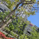 르디투어 고척 | 아이파크몰고척 LeDetour 르디투어