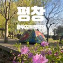 우리꽃캠핑장 | 평창 무료 캠핑장 : 바위공원캠핑장 이용후기
