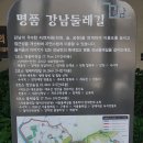 삼거대공원 티스토리