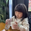 수원-2034 이미지