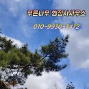 푸른행정사사무소 이미지